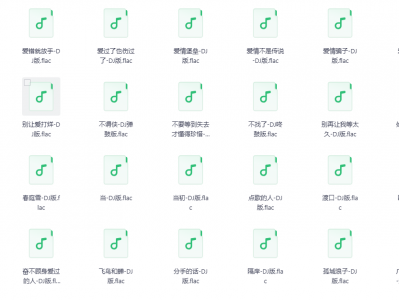 【无损音乐】无损音乐 DJ 280首（flac格式）喜欢DJ版的福音来了！！！