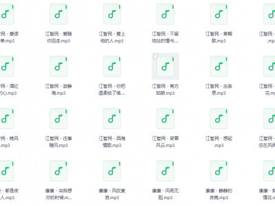 发烧HIFI男声音乐无损MP3