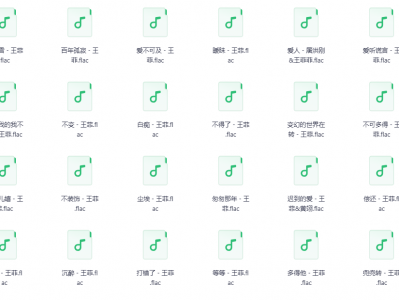 【无损音乐】王菲 珍贵收藏，让耳朵得到洗礼！