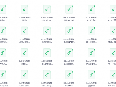 【无损音乐分享】邓紫棋音乐精选，无损歌曲合集