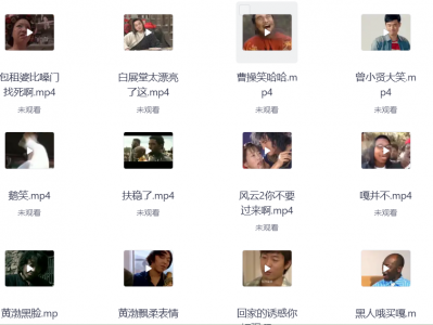 花了99，在淘宝买来的搞笑转场经典素材合集